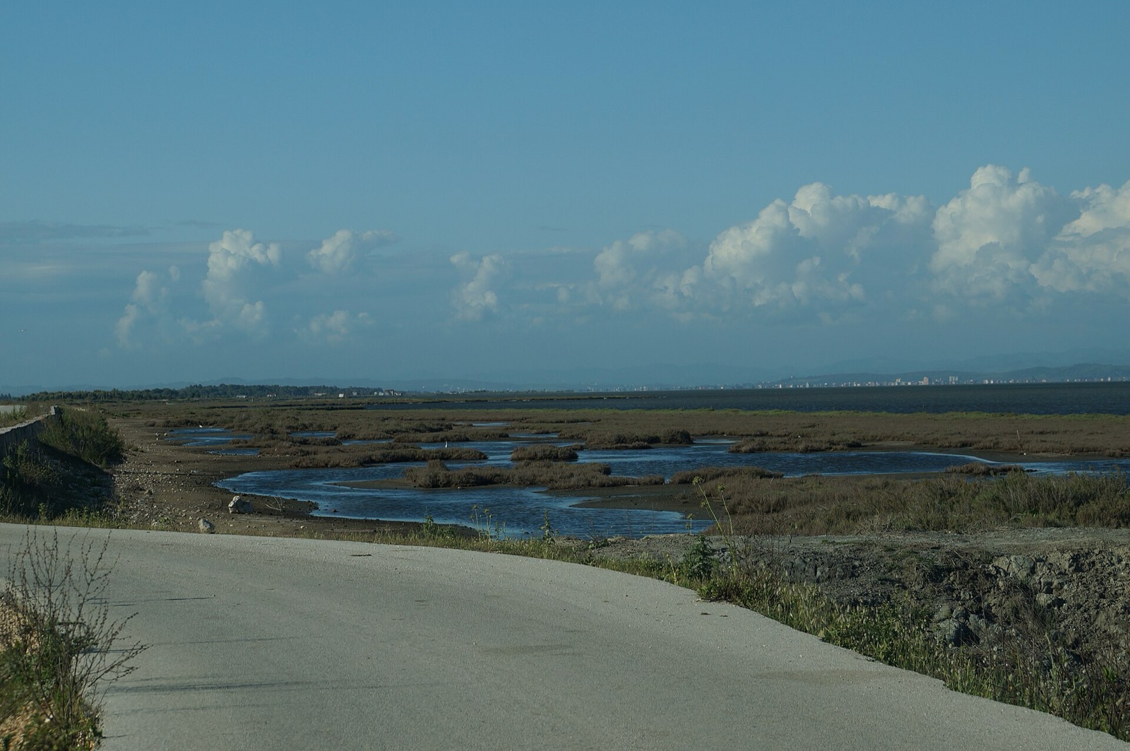 Karavasta Lagoon, Divjakë — photo 2